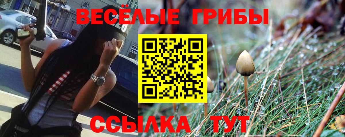 Псилоцибиновые грибы Cubensis  Галлюциногенные грибы Magic Shrooms  Нягань  Вход с VPN 